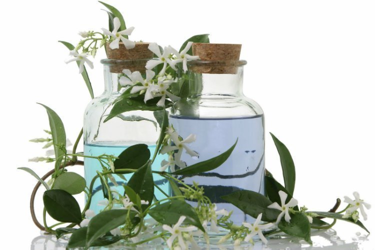 beauty, skincare, herbal oils
