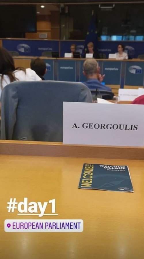 gewrgoullis2