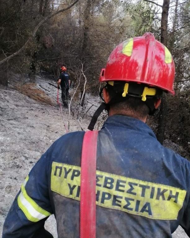 Φωτιές θεοδούλου