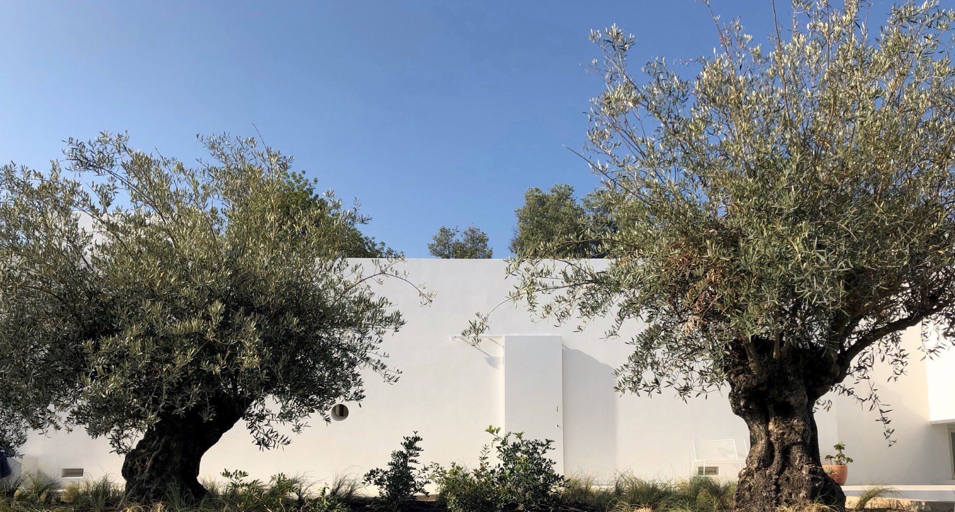 casa luum2