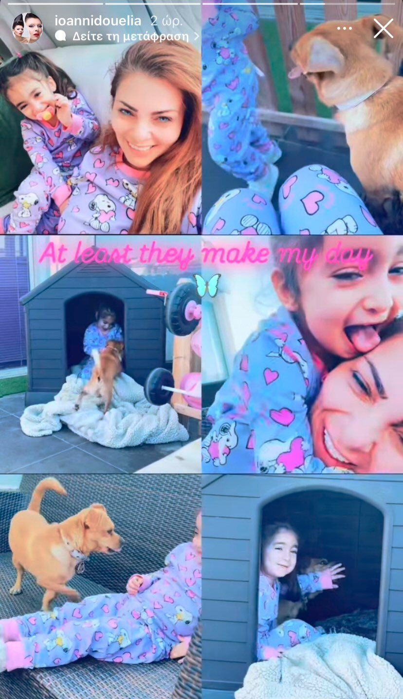 ξ