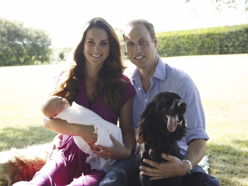 KATE WILLIAM 