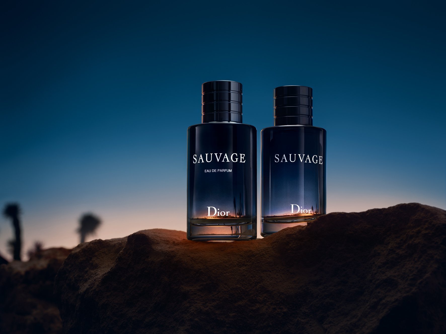 SAUVAGE 