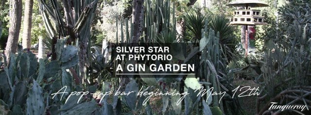 Silver star 