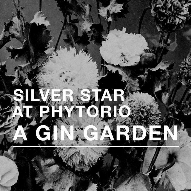 SILVER STAR 