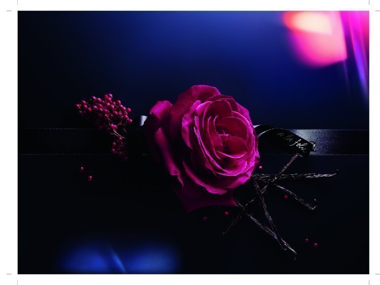 beautyy, news
