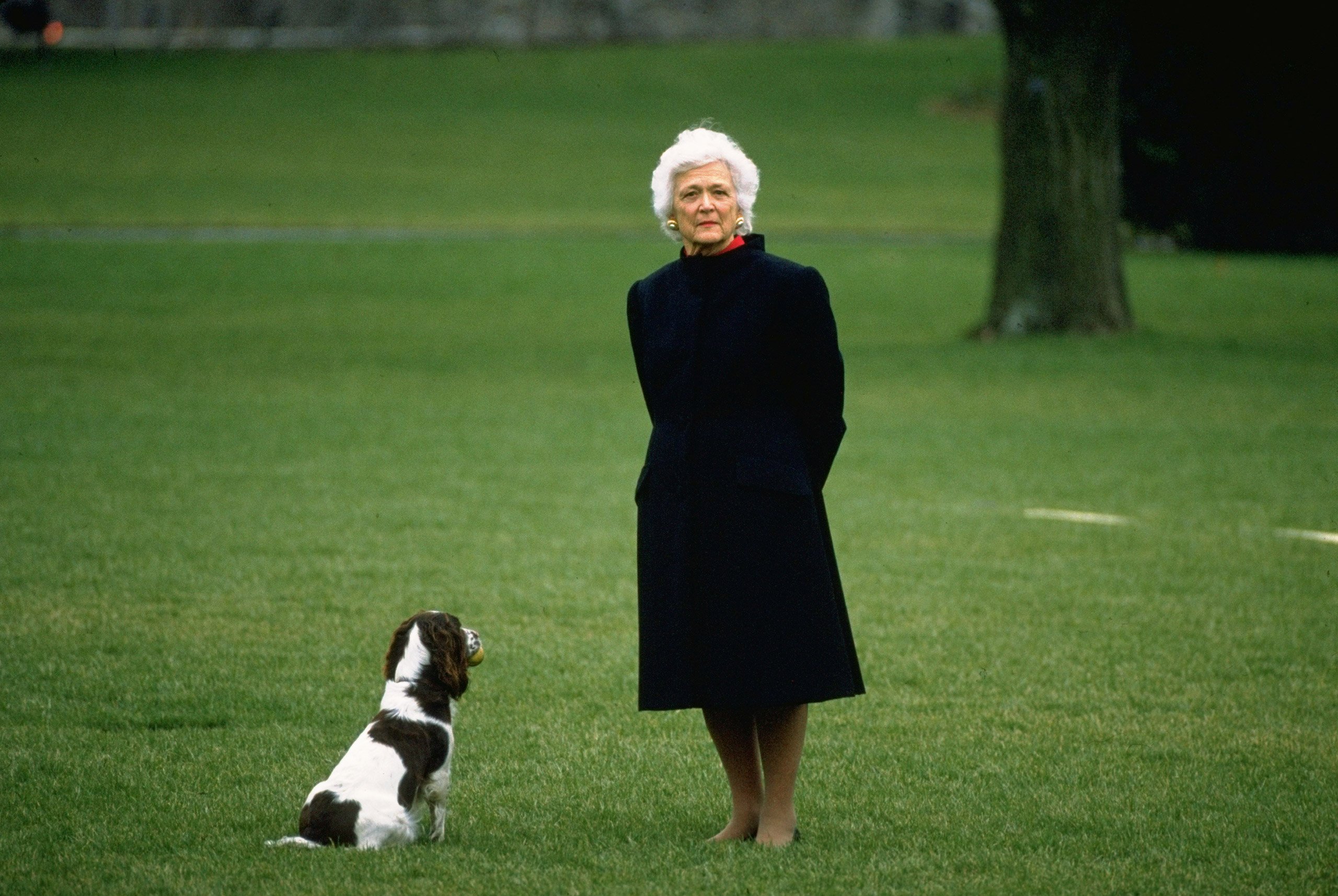 barbara bush 