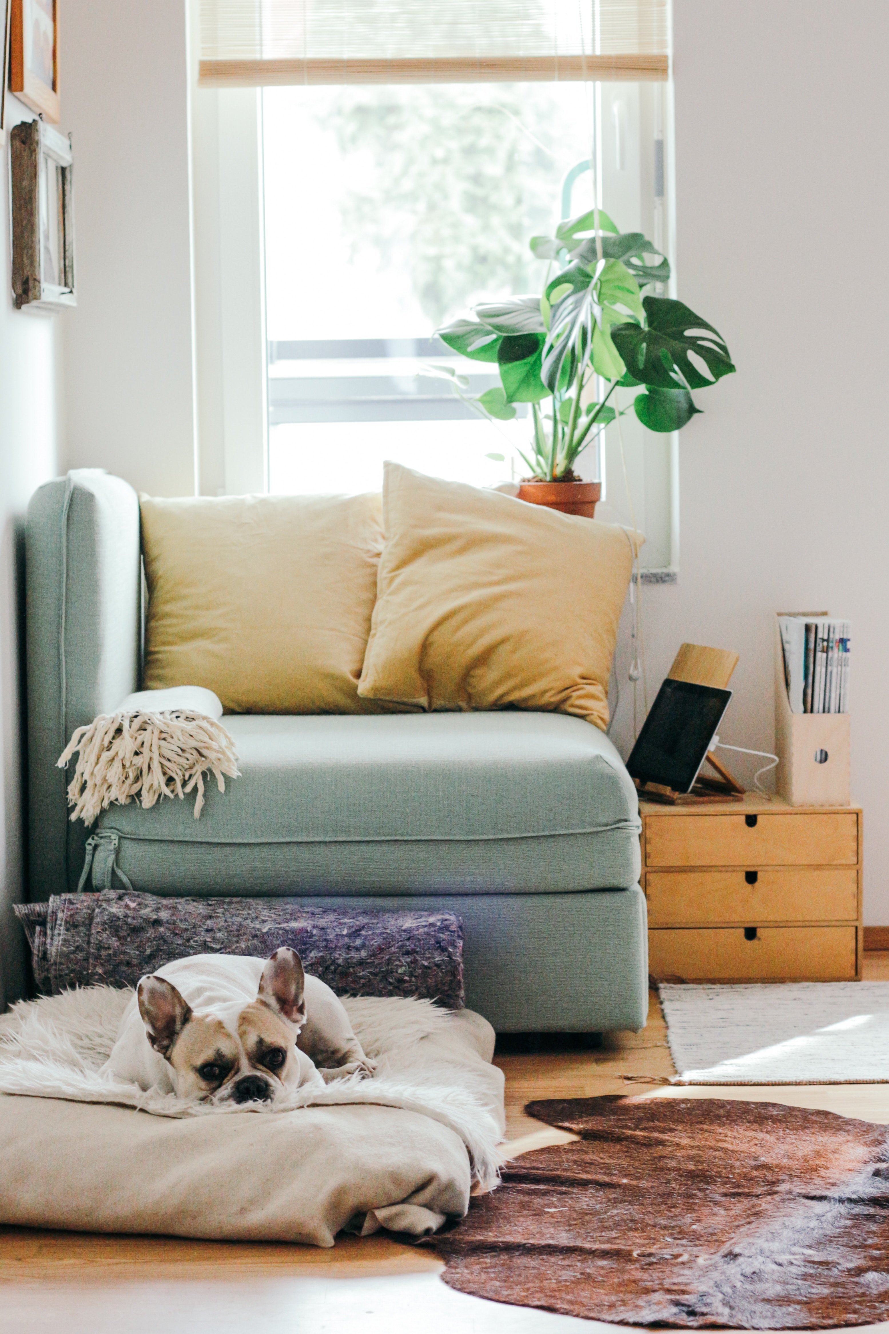 home5