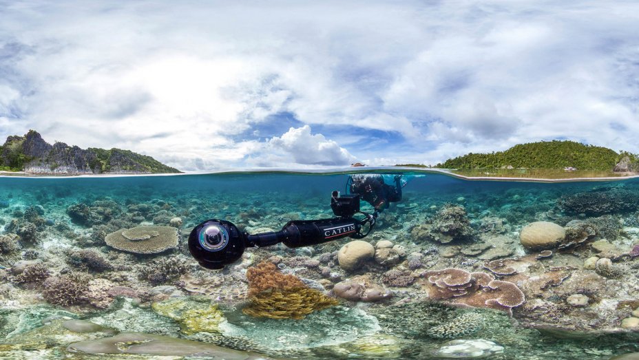 Chasing Coral, Netflix
