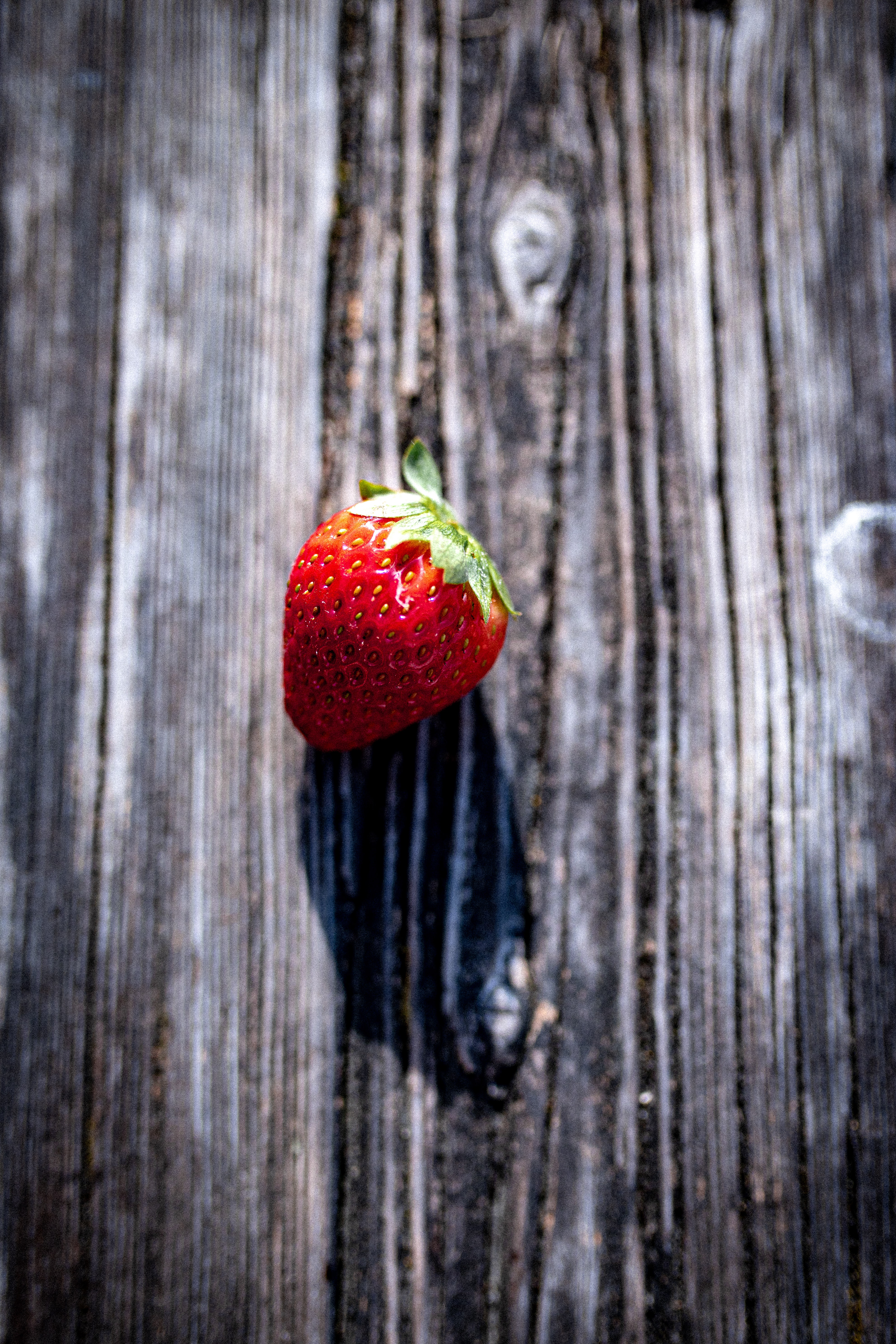 strawberry 
