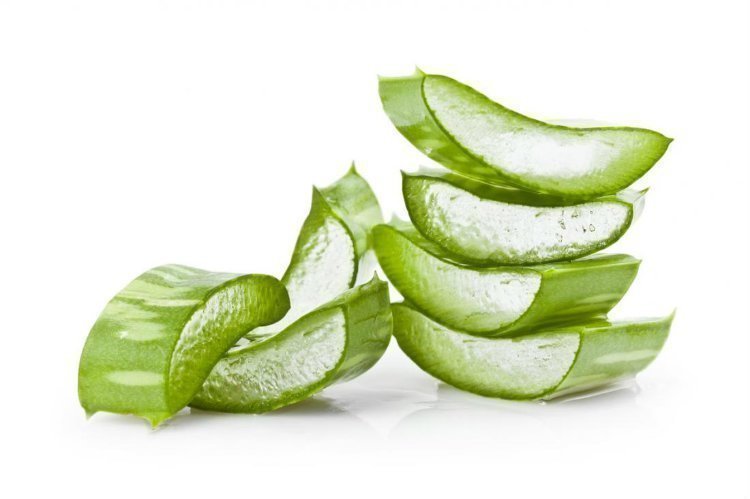 good life, tips, sun burns, aloe vera