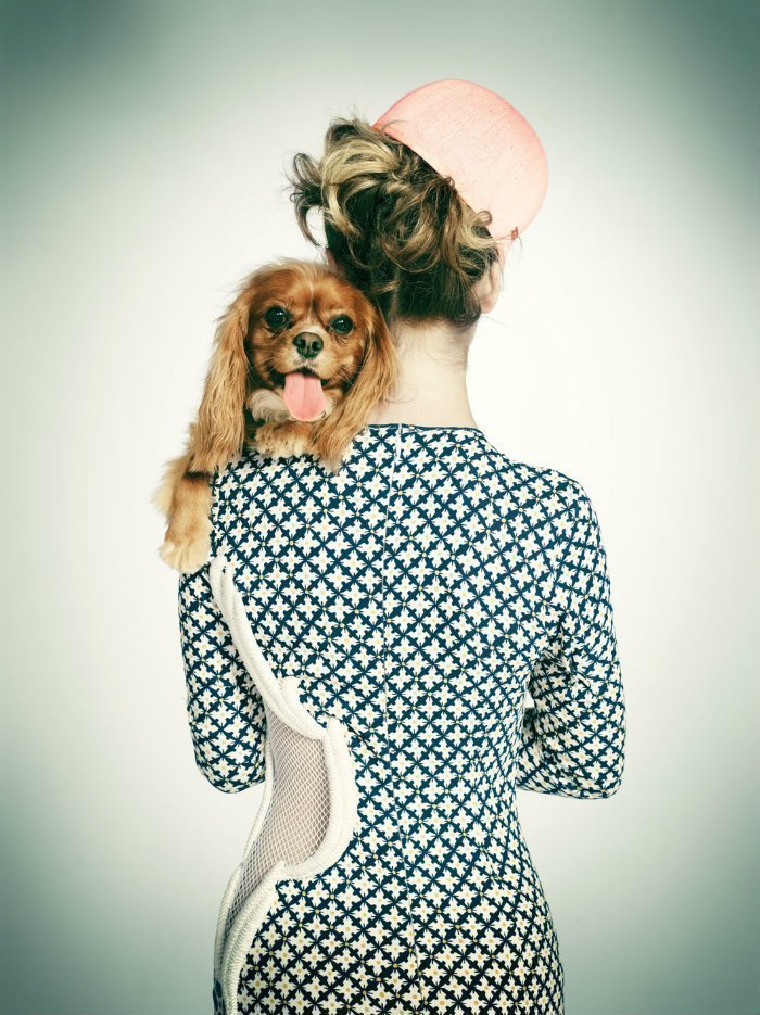 good life, trends, dogs, fit, health