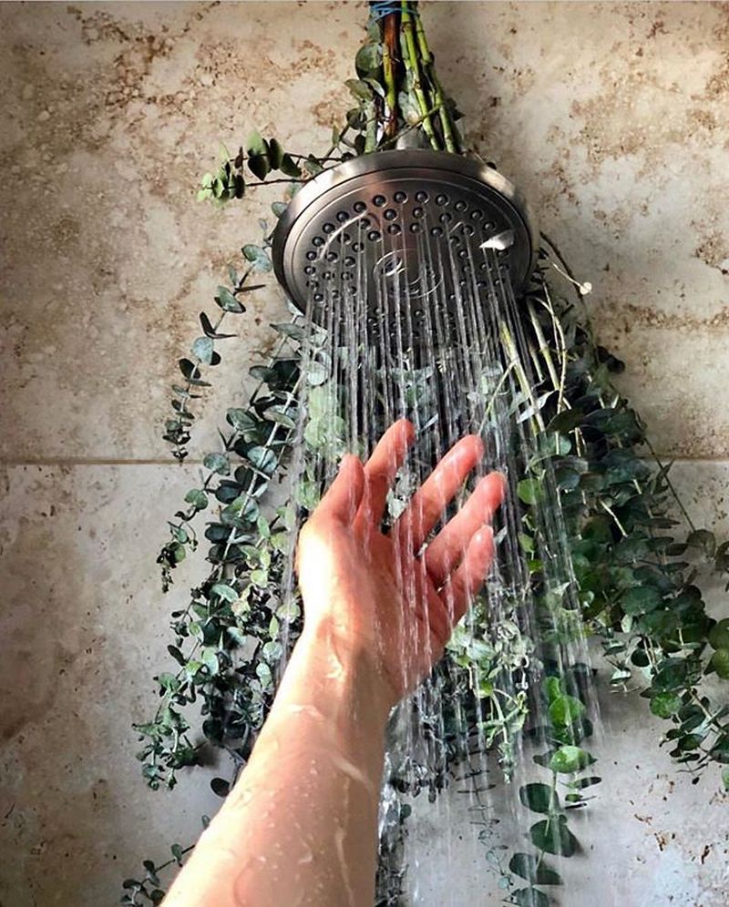 eucalyptus shower