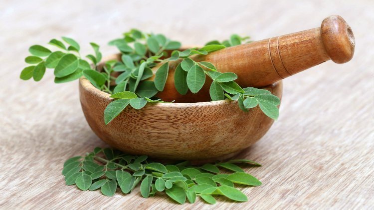 good life. wellness trends