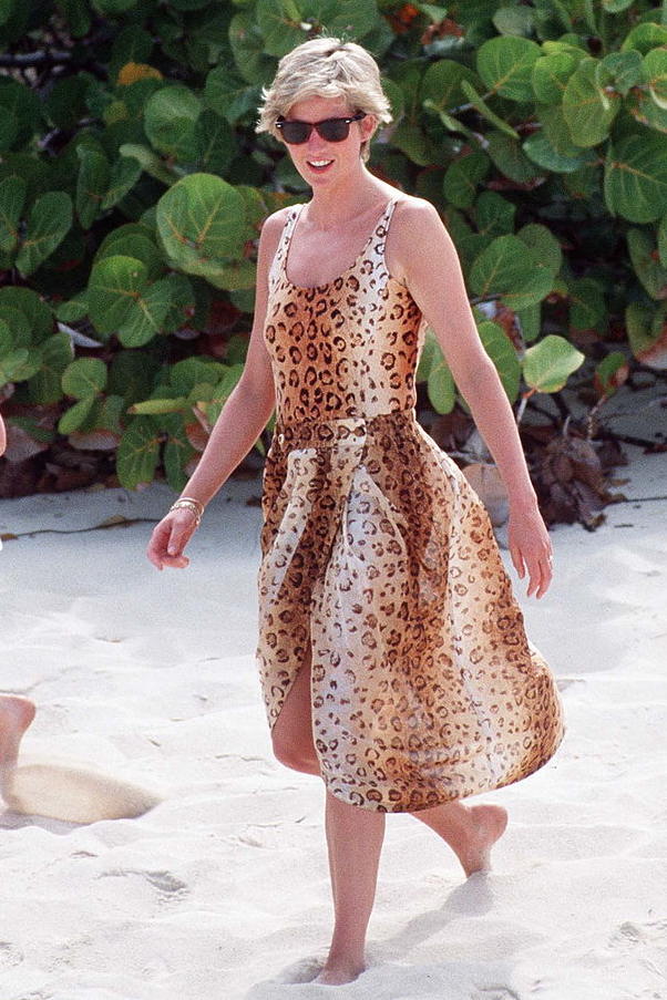 Lady Diana Leopard
