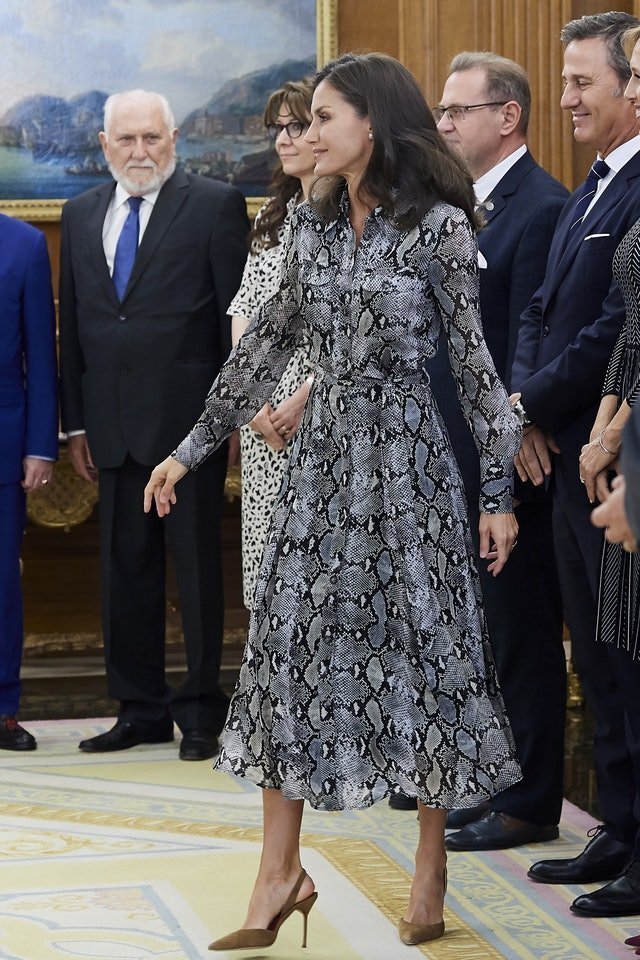 Queen Letizia Massimo Dutti dress