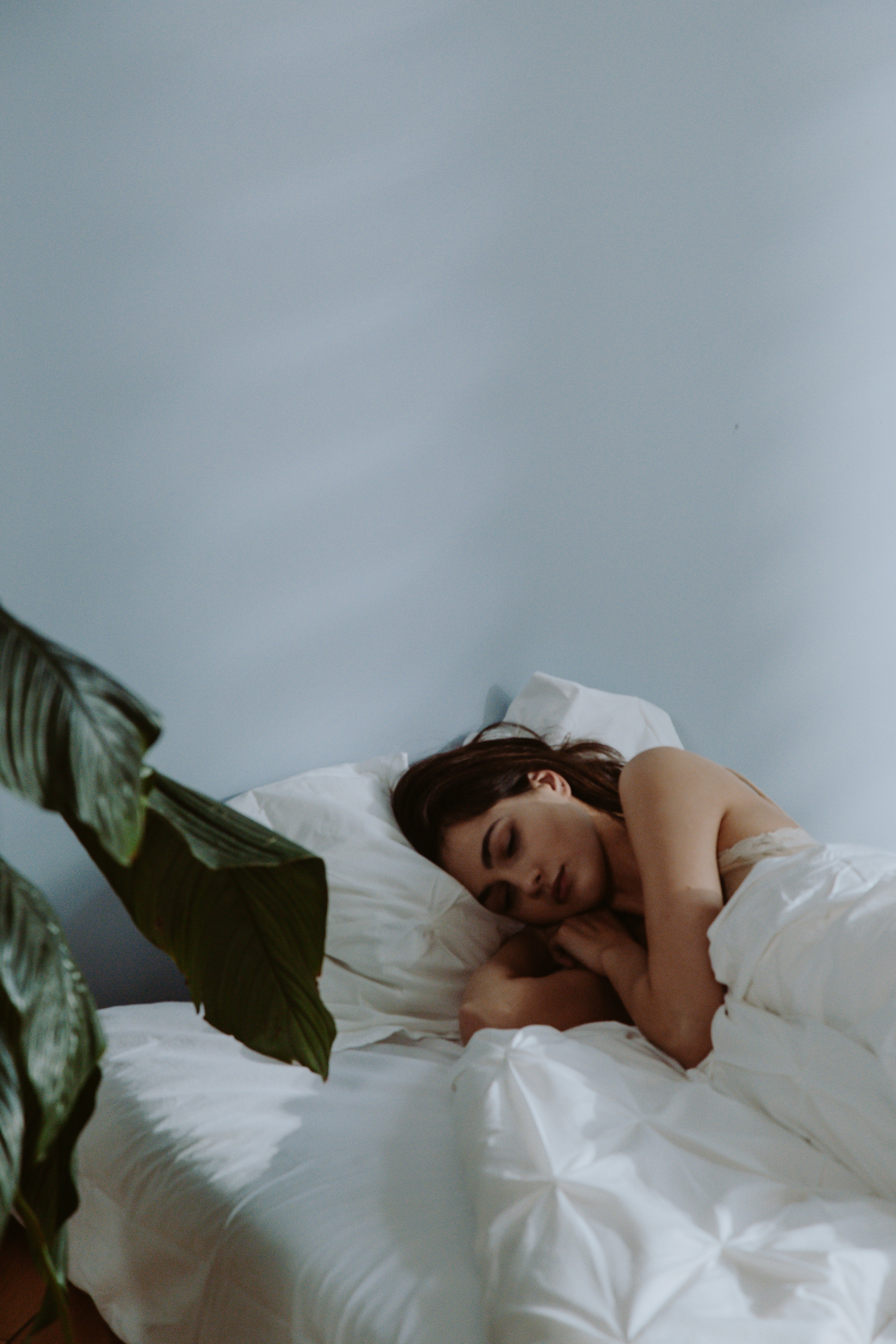 dreaming