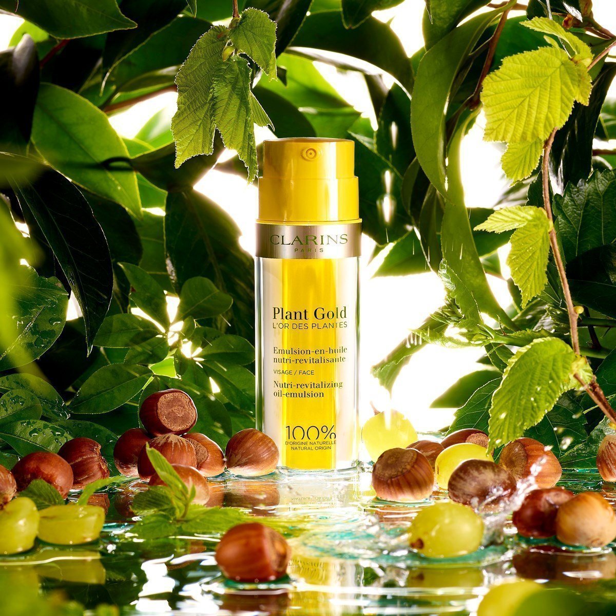 Clarins plant gold