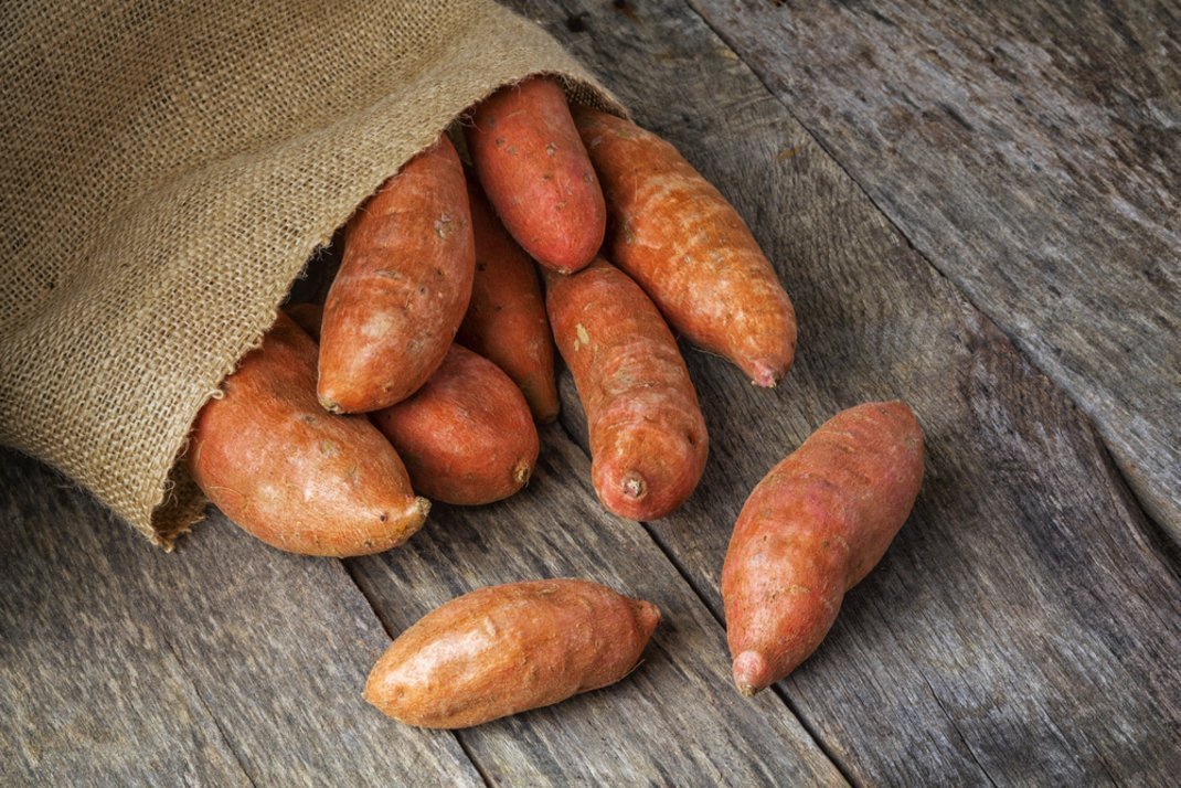 patata